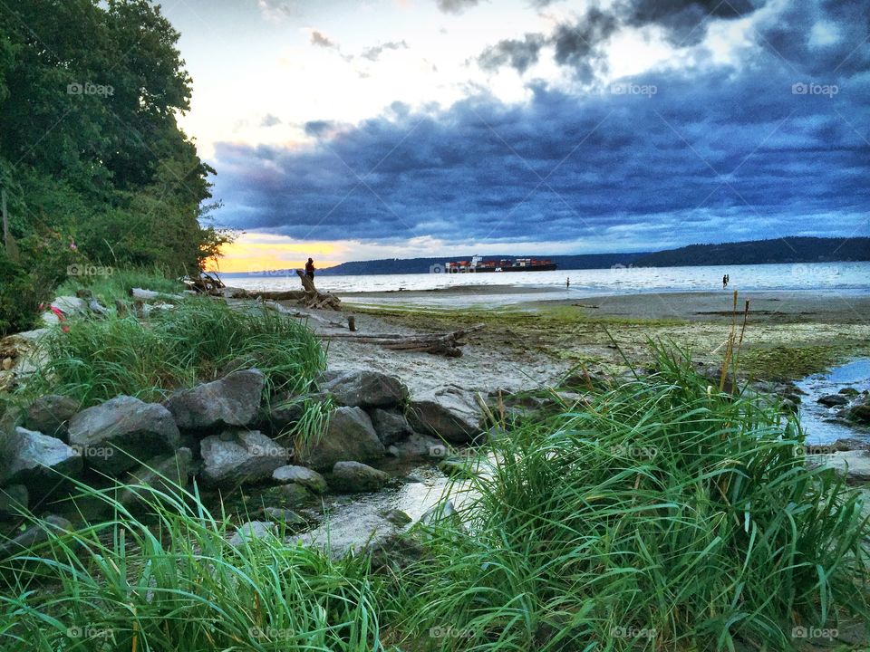 Dash Point State Park in the Spring