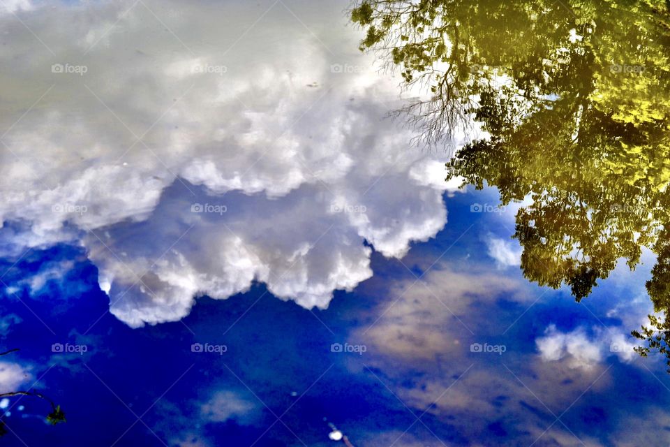 Water reflection in the park. 