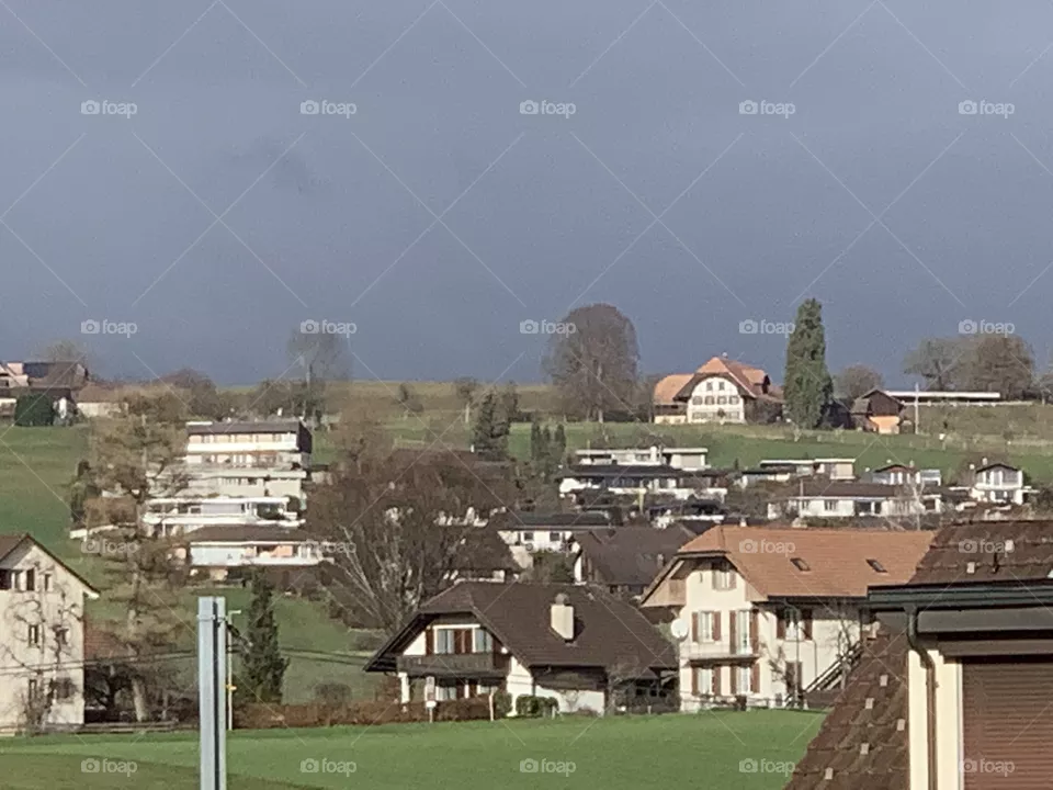 Swiss 