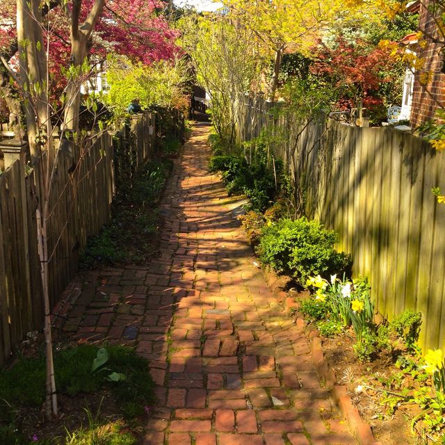 Coblestone Walk