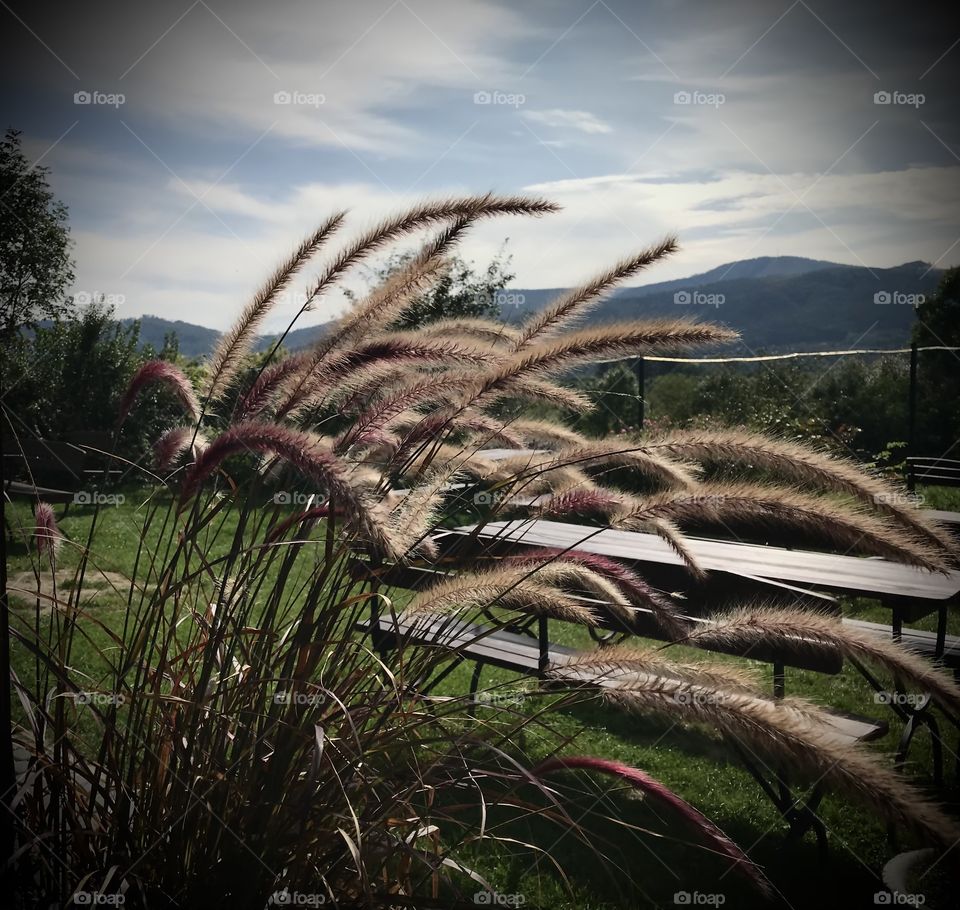 Relaxation with nature