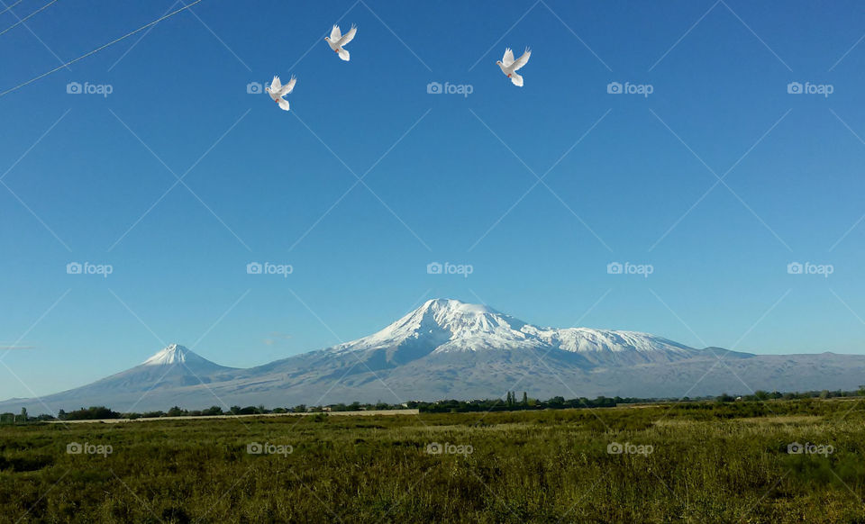 Yerevan-gora Ararat,view from the balcony