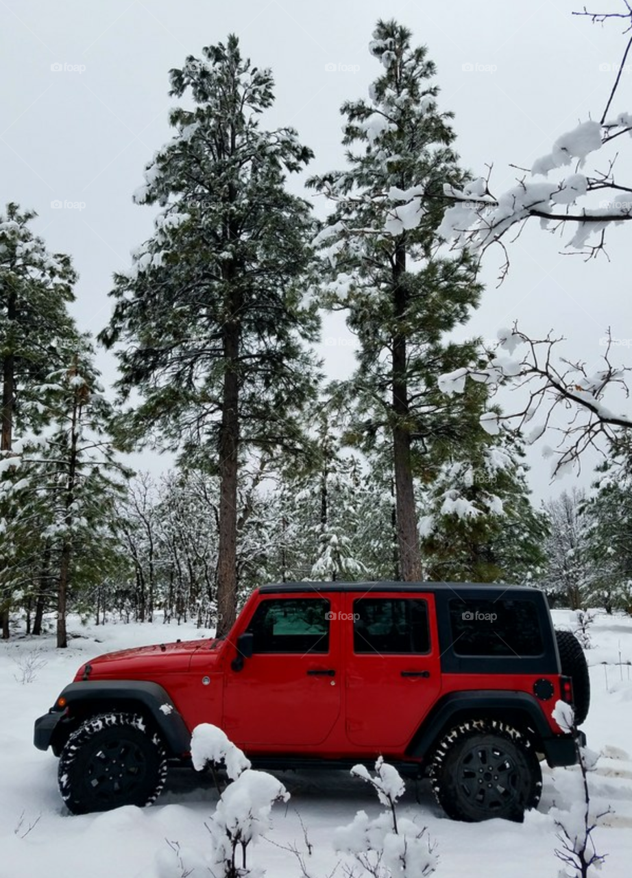 Jeep Wrangler Unlimited at