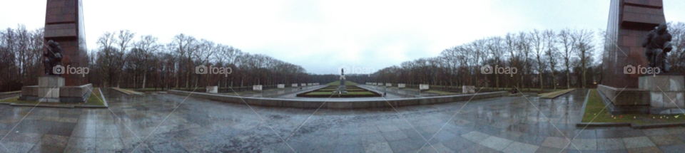 gray trees park rain by kattykatz