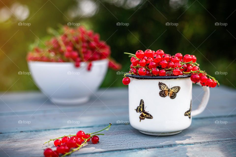 Summer food ripe sweet red currant berries in a white cup outdoors in the garden, stands on a blue wooden background