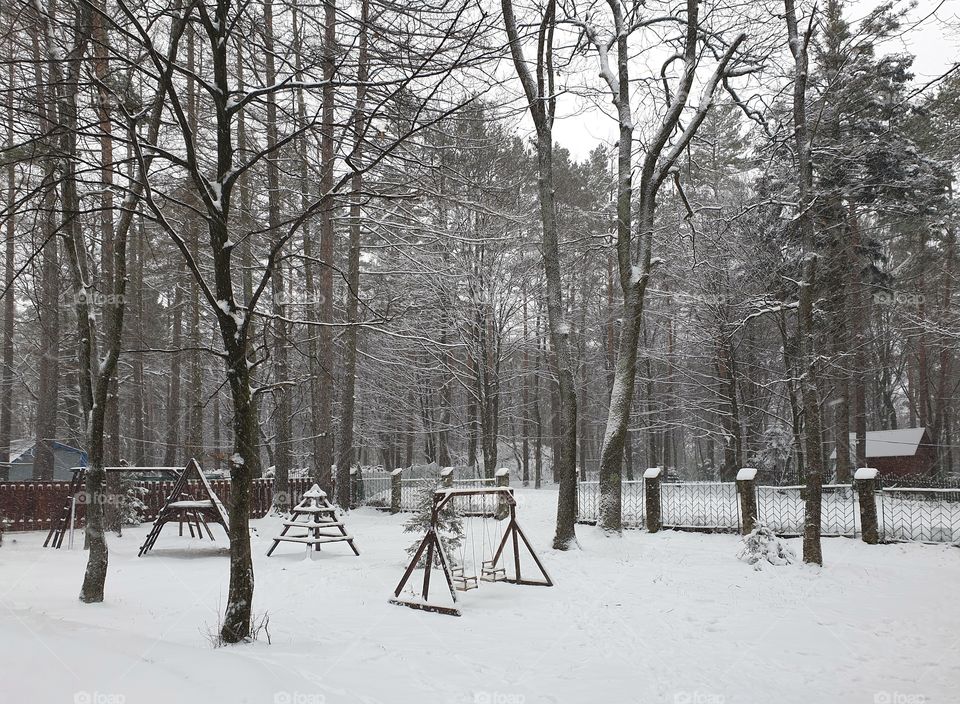 Monochrome snowy winter