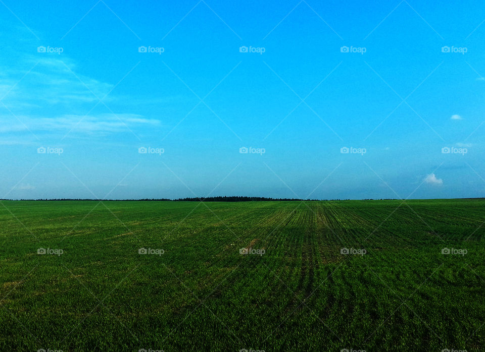 Russian flat field landscape