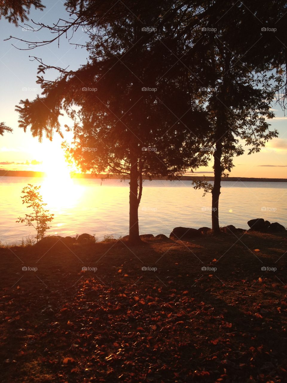 Michigan Summertime. At the family cottage on the lake