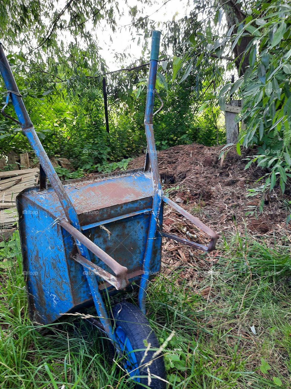 compost ready for the garden