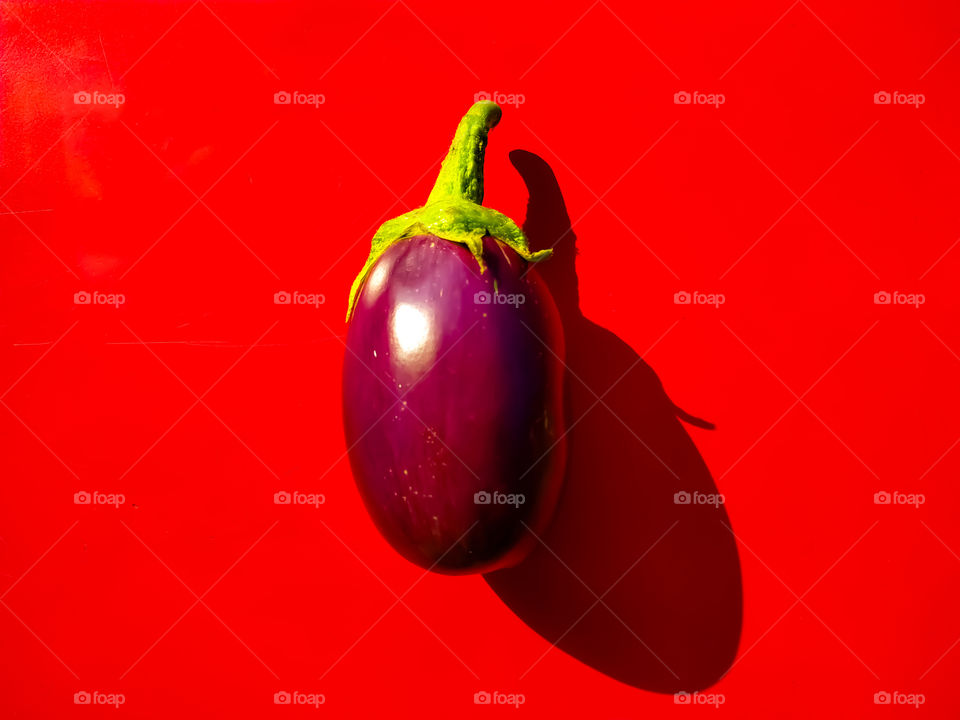 Fresh Brinjals on a pink background with clipping path
