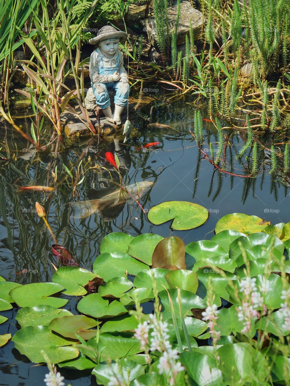 Garden pond