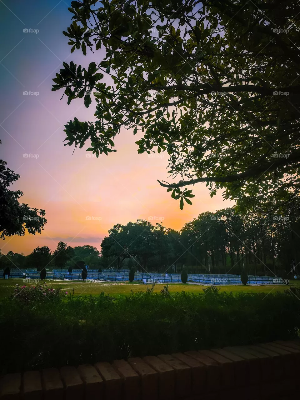 beautiful sunset