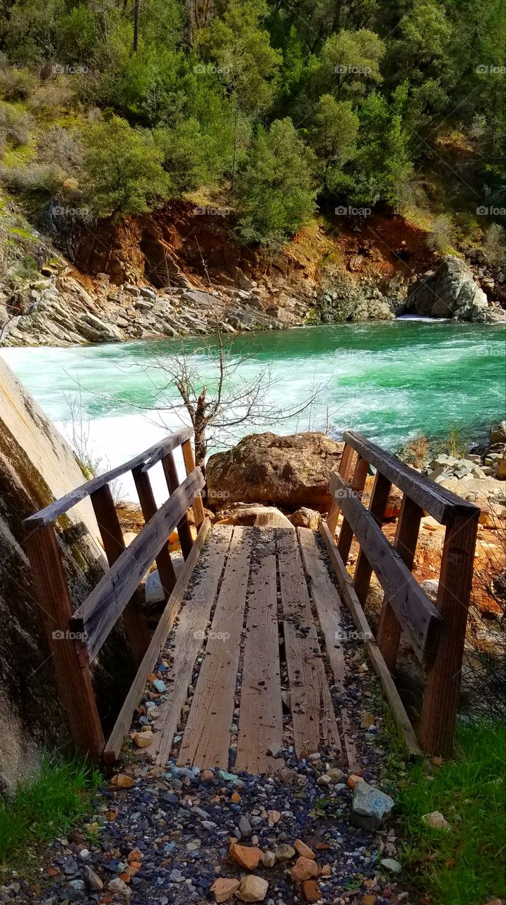 View of wooden pier near stream
