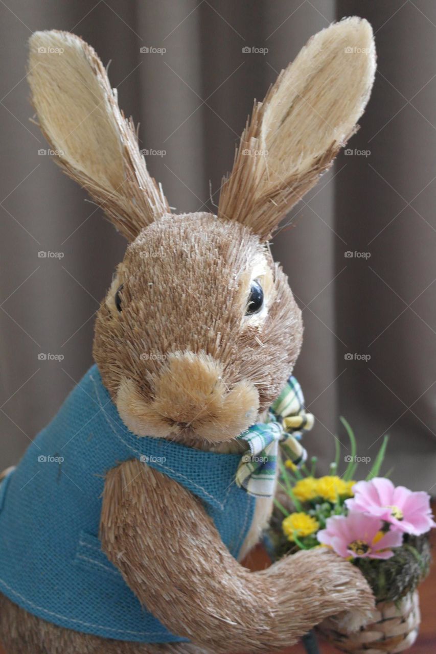 Portrait if the Easter bunny 