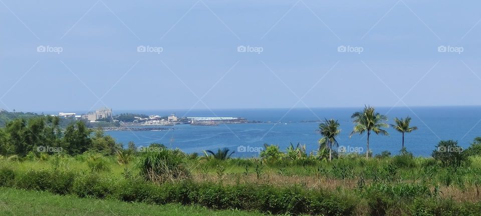 View of the sea from a hill in the city