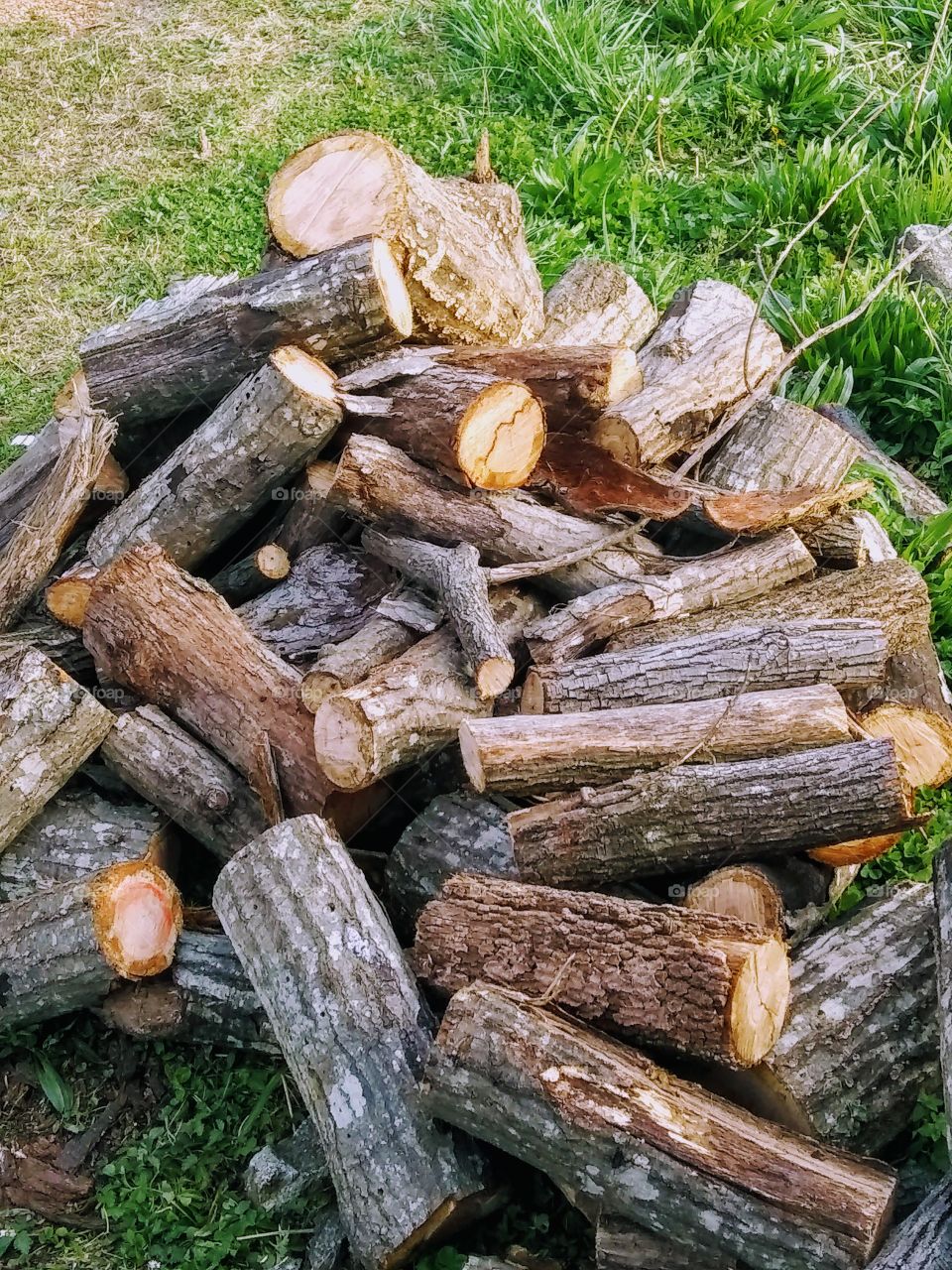 wood pile