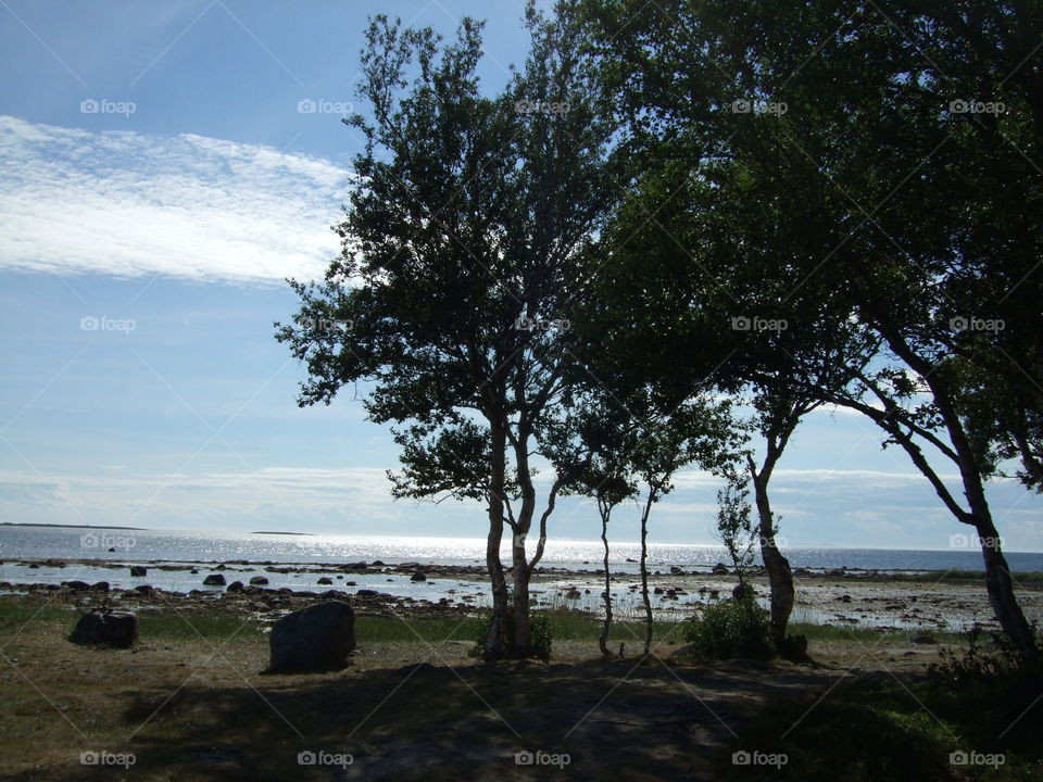 trip to Russia and Solovki-2011