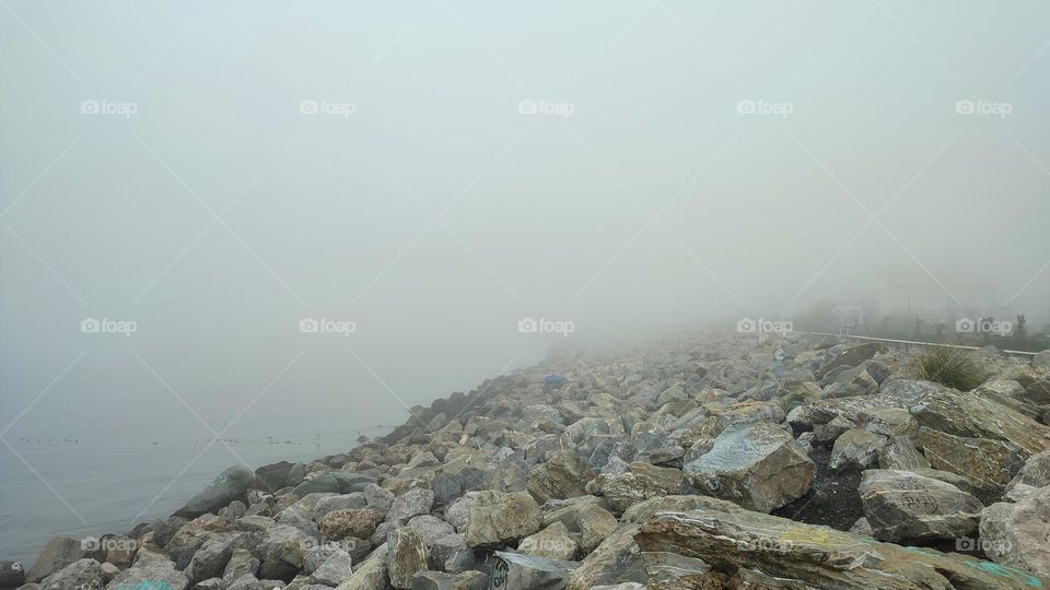 Берег в тумане