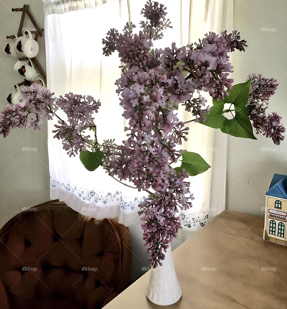 Lilac Branches