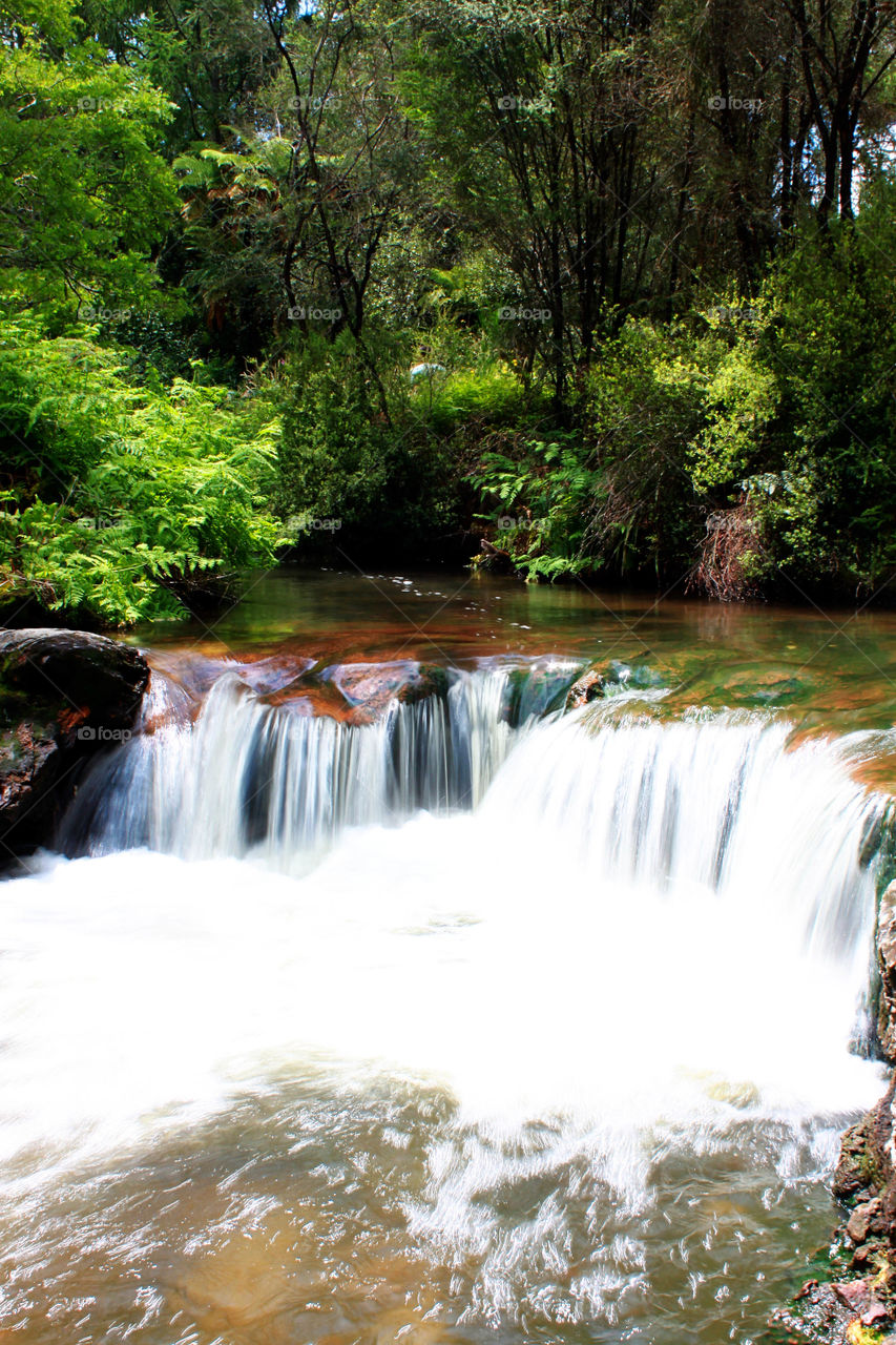 Kerosene creek New Zealand 