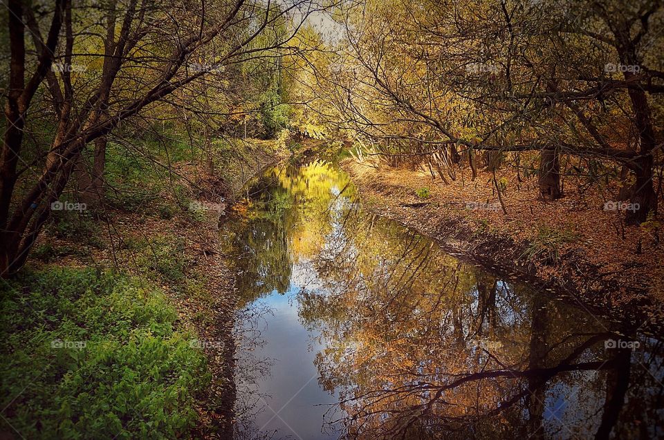 A Canadian fall 