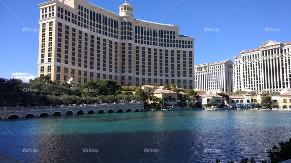 luxury hotel at Las Vegas