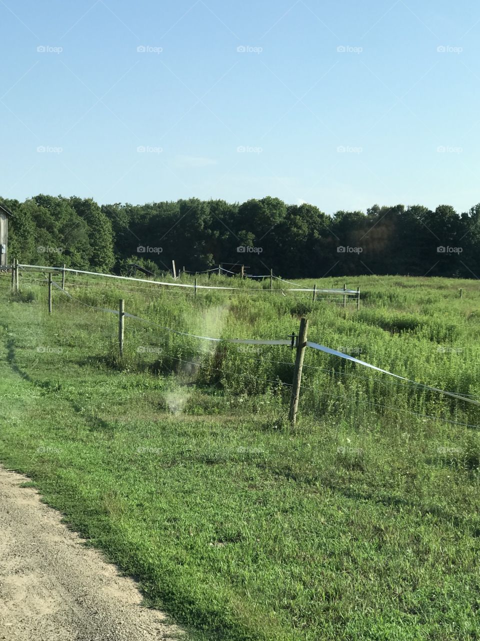 Tape fence around pasture 