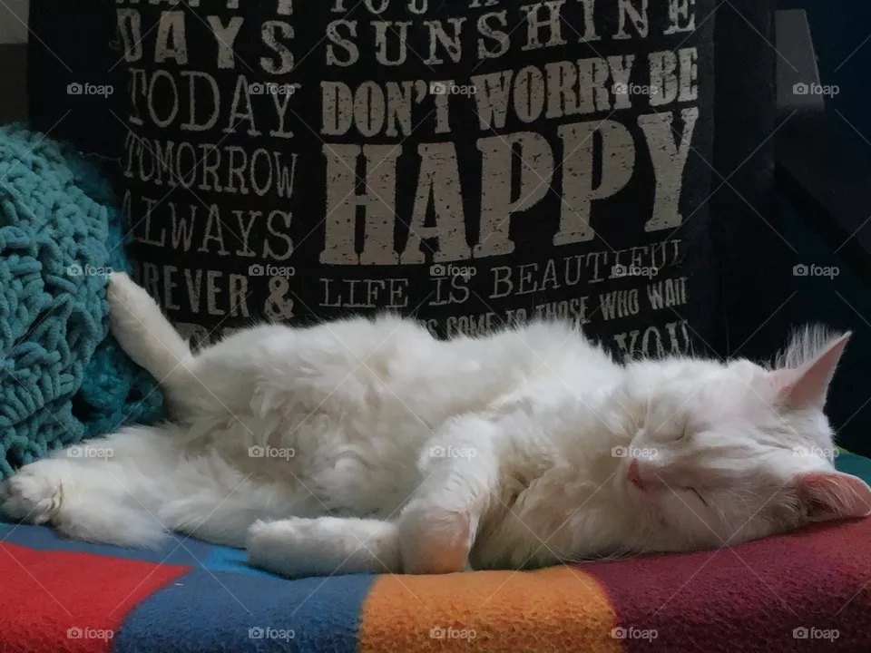 Merlin 