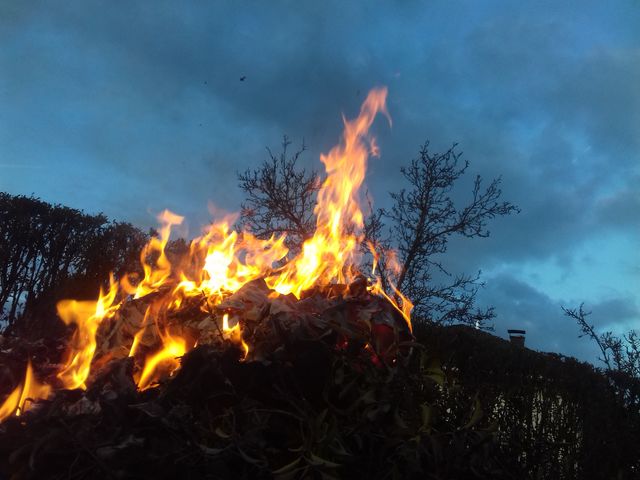 with a little bit imagination, a daemon emerge through ashes and fire.