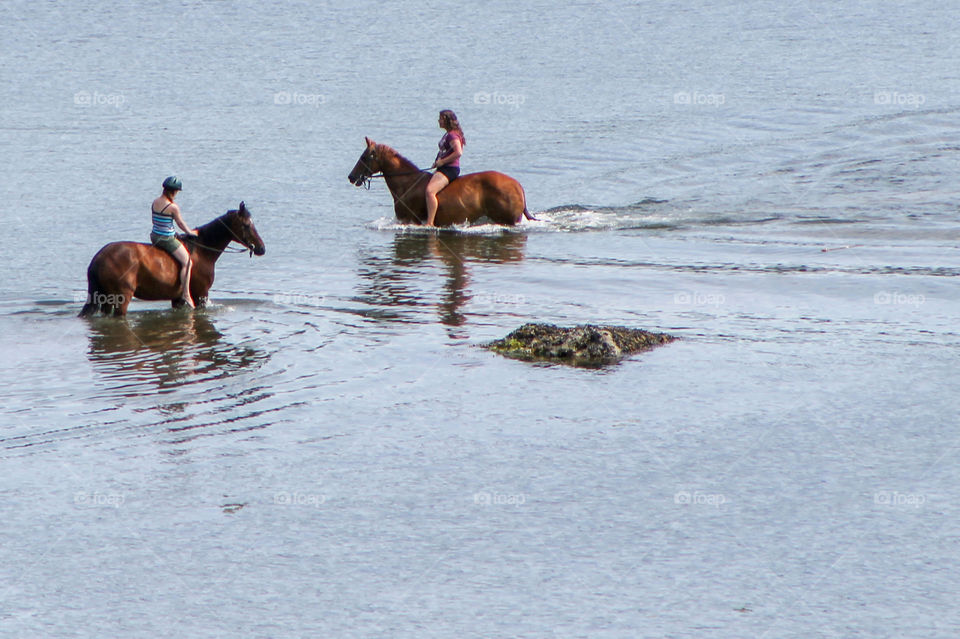 On a hot July day at summer ranch camp the instructors took the horses out for a swim to cool off. They had taken many camp kids out for rides that day so it was time for a treat for everyone. Point A was all their hard work & Point B was a swim! ๐