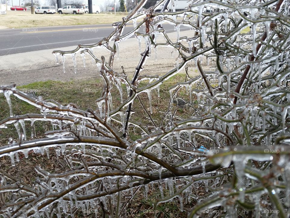 Frost. The day after Thor. 