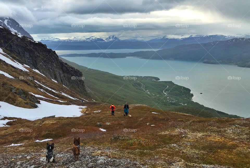 Narvik's mountains 