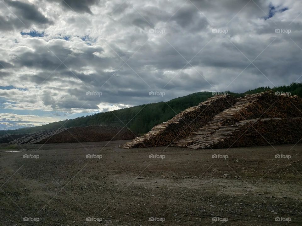 lumber yard in British Columbia