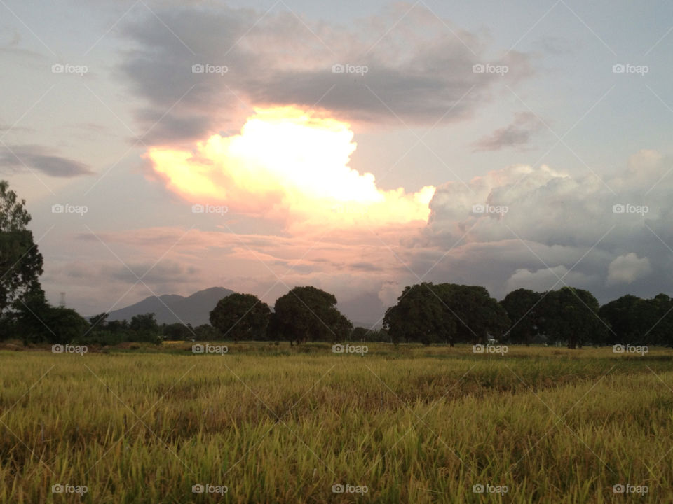 reflections golden clouds paddy fields bright cloud by 2lucky4u