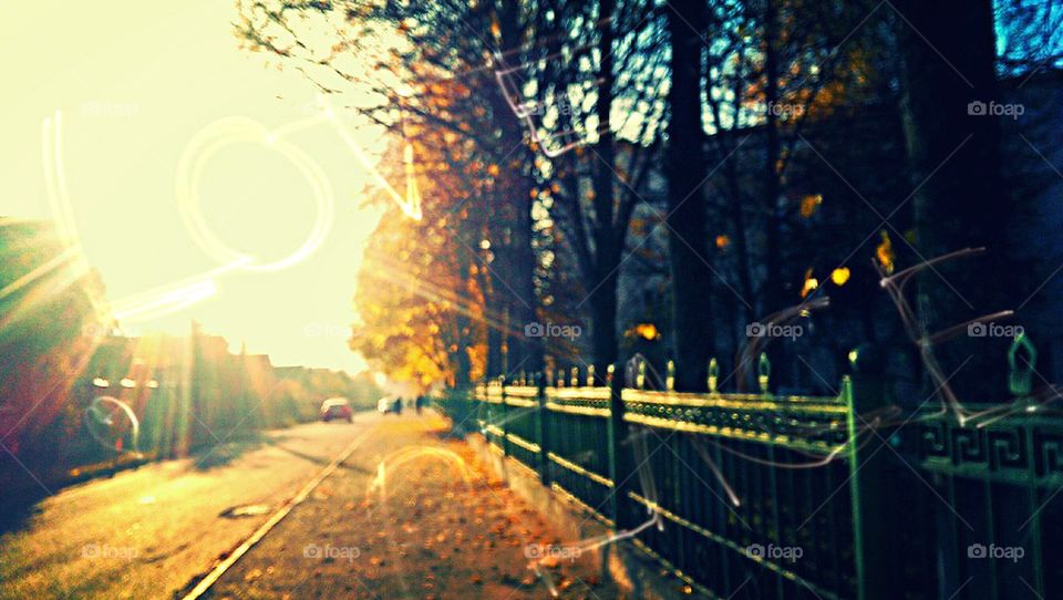 sun,autumn,nature,road,street