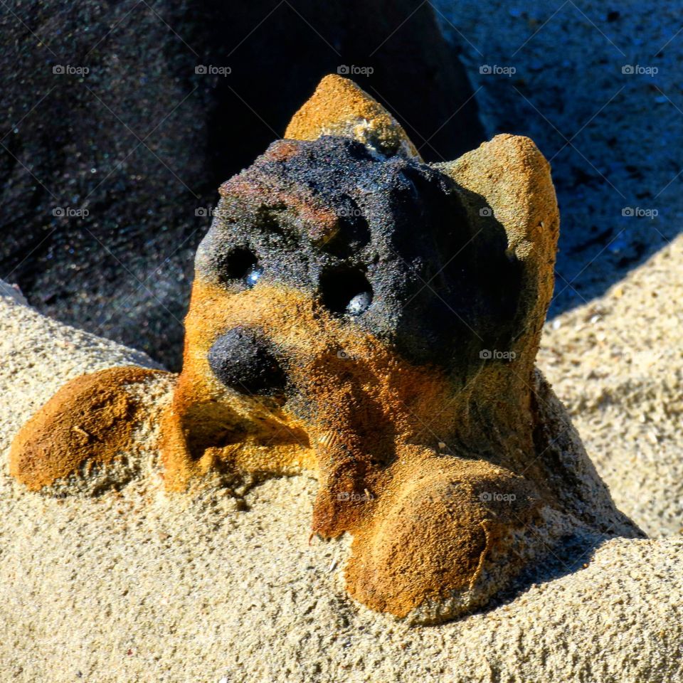 Dog made of sand