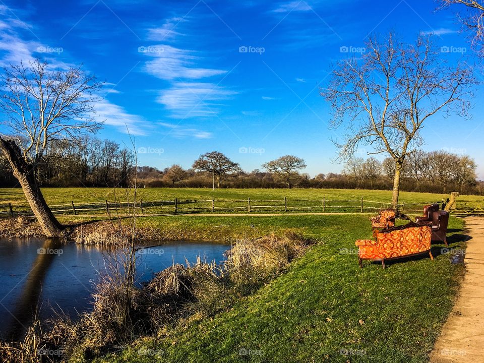 No Person, Tree, Landscape, Water, Grass