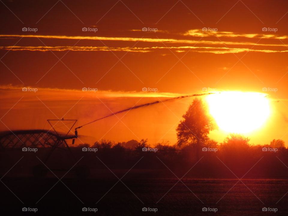 Watering out the sun