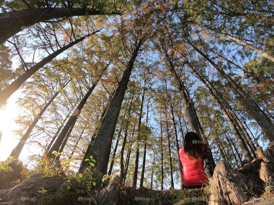 Girl sat on the ground in a forest, wide angle camera looking up 