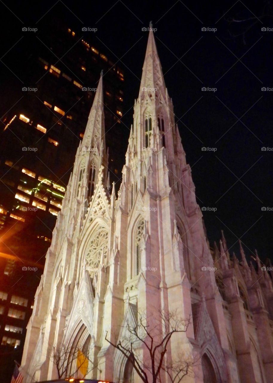 View from 5th Avenue