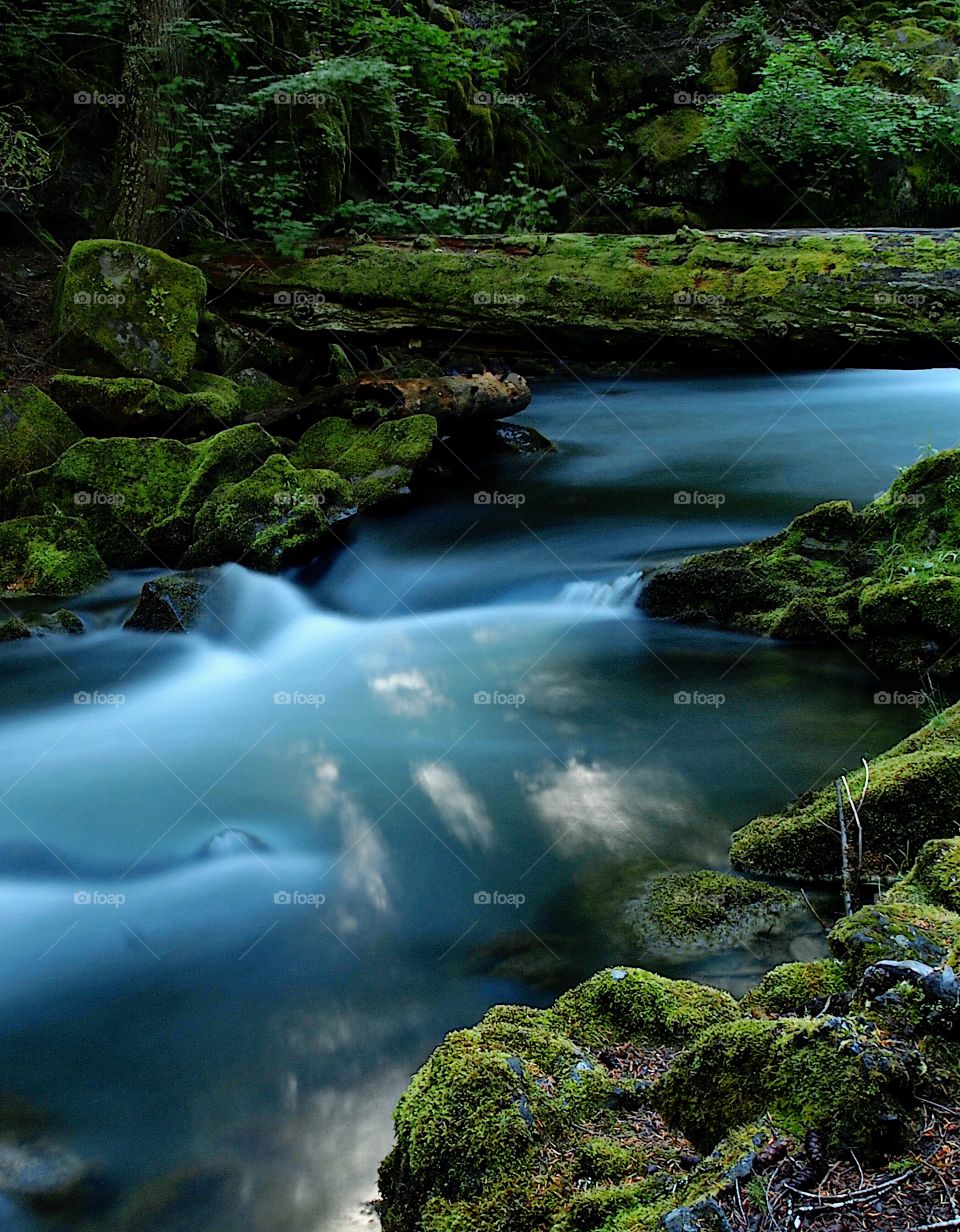 The smooth peaceful waters of the small Clearwater River in Southern Oregon flows through lush green banks on a summer day. 