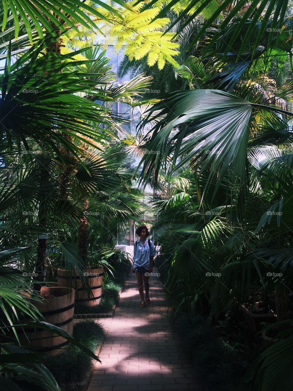 Walking through the jungle 