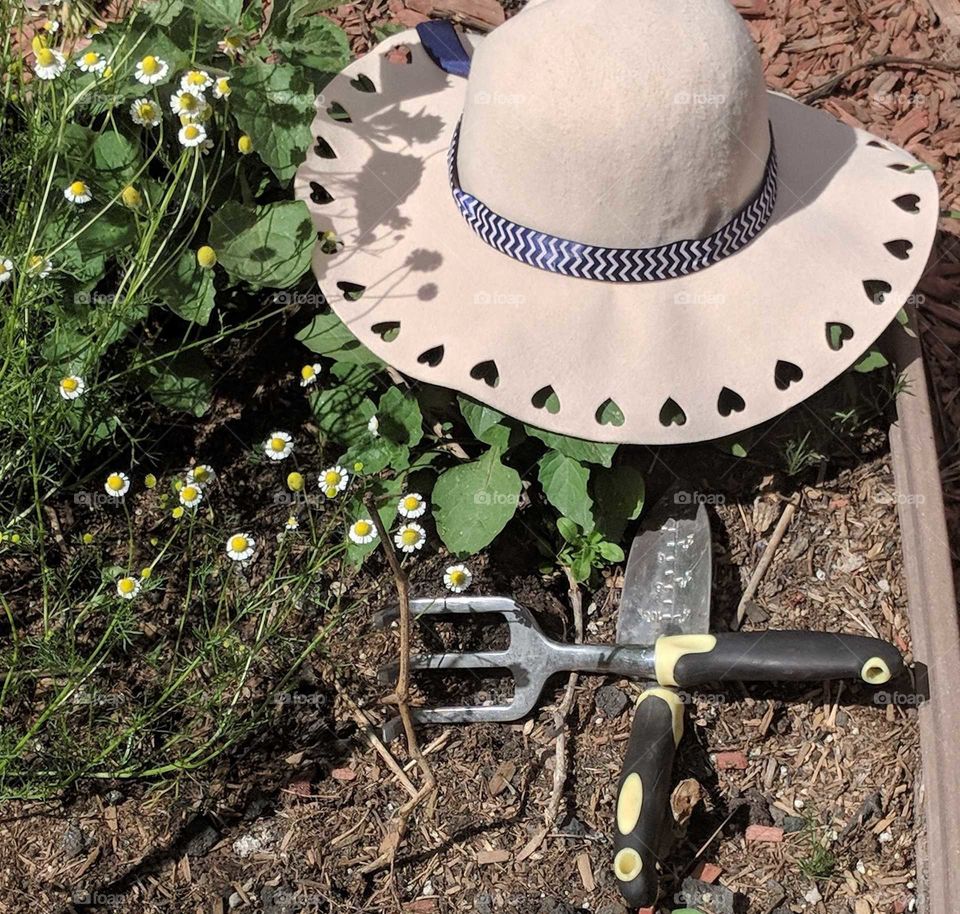 Keeping up with my New year's resolution