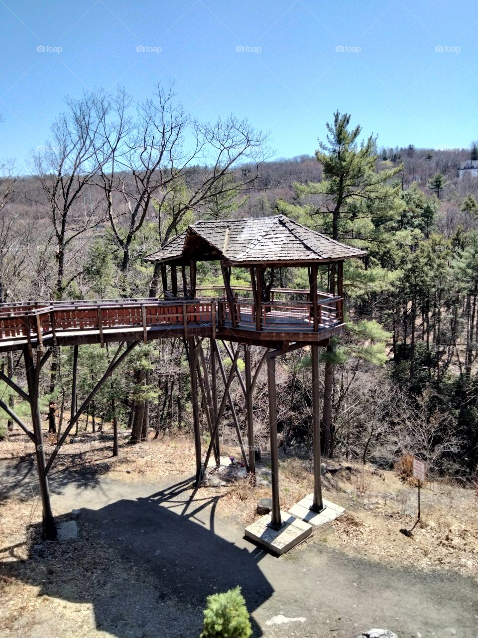 treehouse