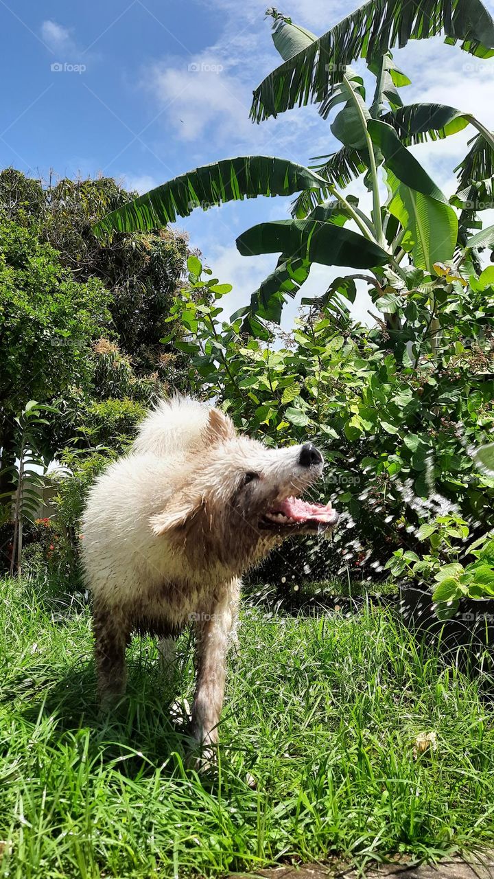 Playing in the water 2