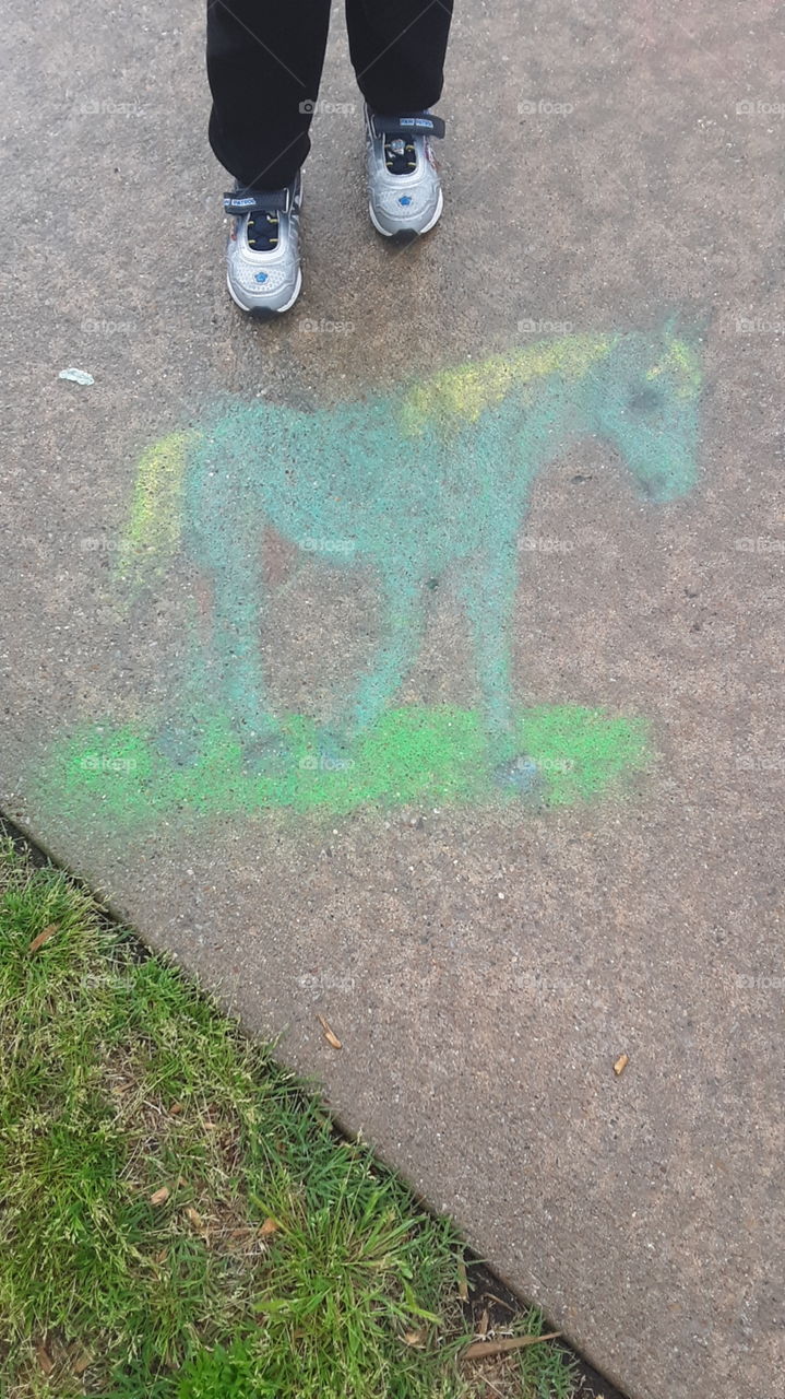 horse art from chalk