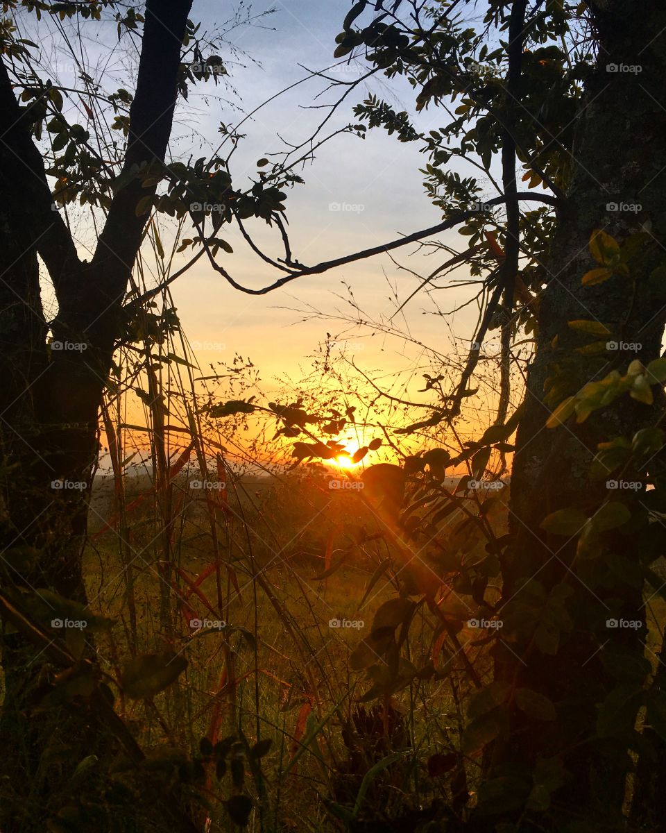 🌅Desperte, #Jundiaí. 
Que a jornada diária possa valer a pena!
🍃
#sol #sun #sky #céu #photo #nature #morning #alvorada #natureza #horizonte #fotografia #pictureoftheday #paisagem #inspiração #amanhecer #mobgraphy #mobgrafia #AmoJundiaí