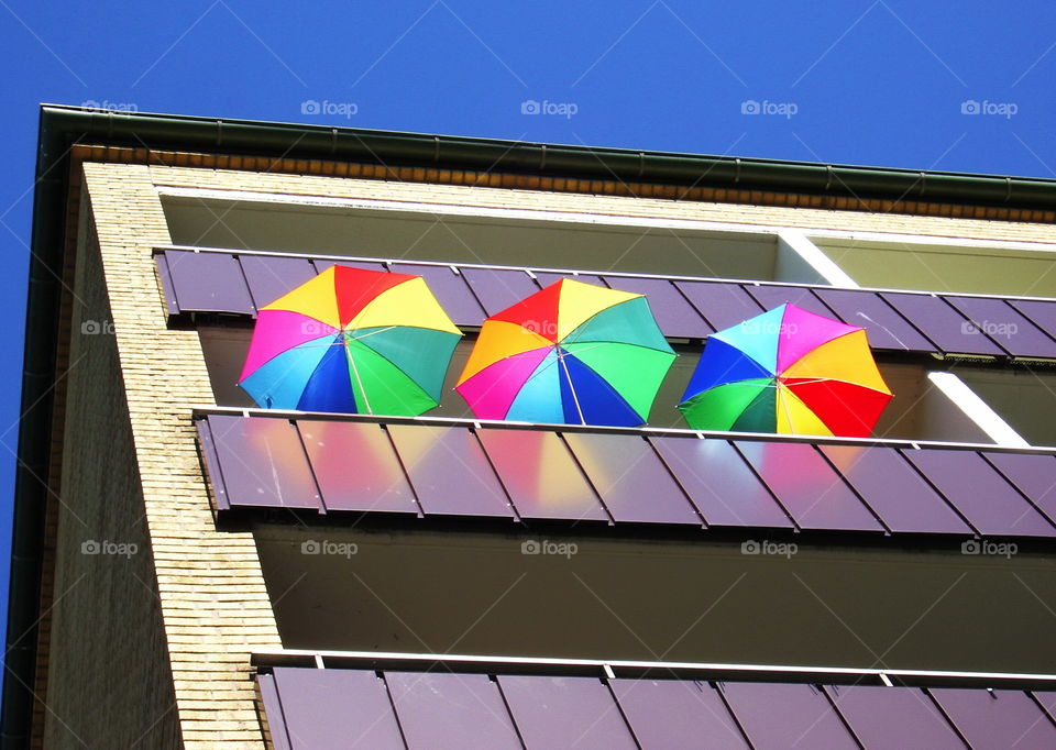 3 umbrellas enjoying a sunny day