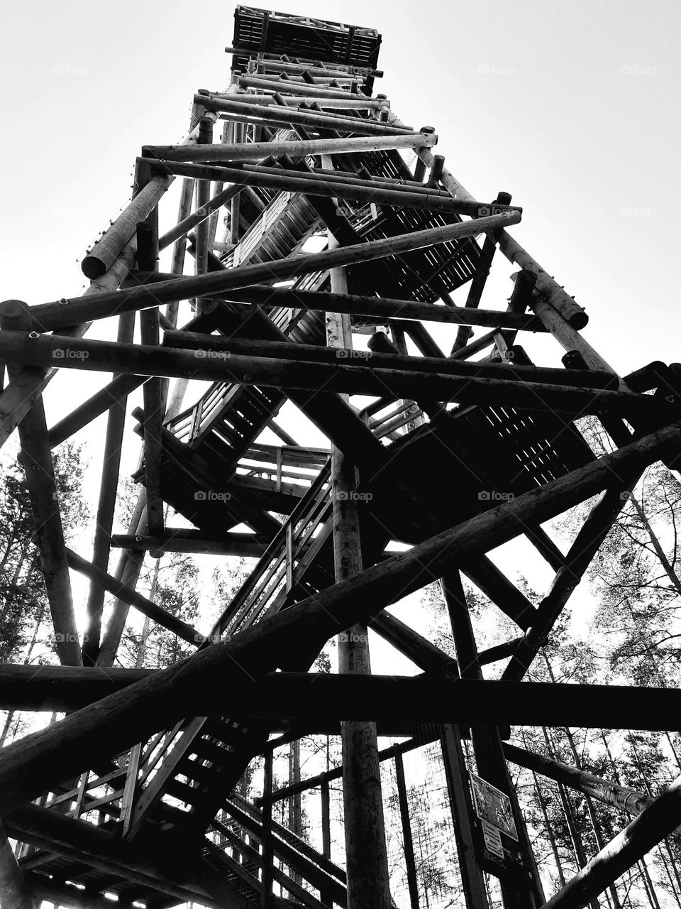 Дорога жизни... Вверх или вниз...