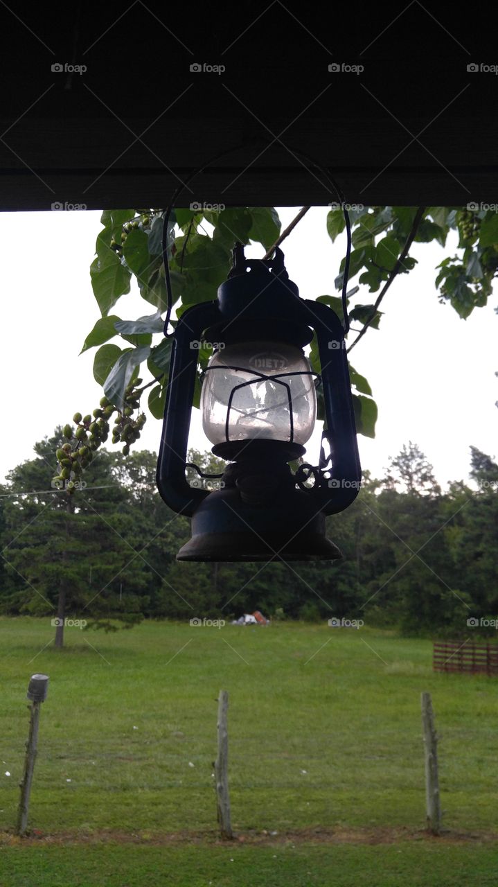 Lamp, Lantern, Light, Landscape, Tree